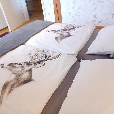 Ferienwohnung Am Sendberg Frielendorf エクステリア 写真