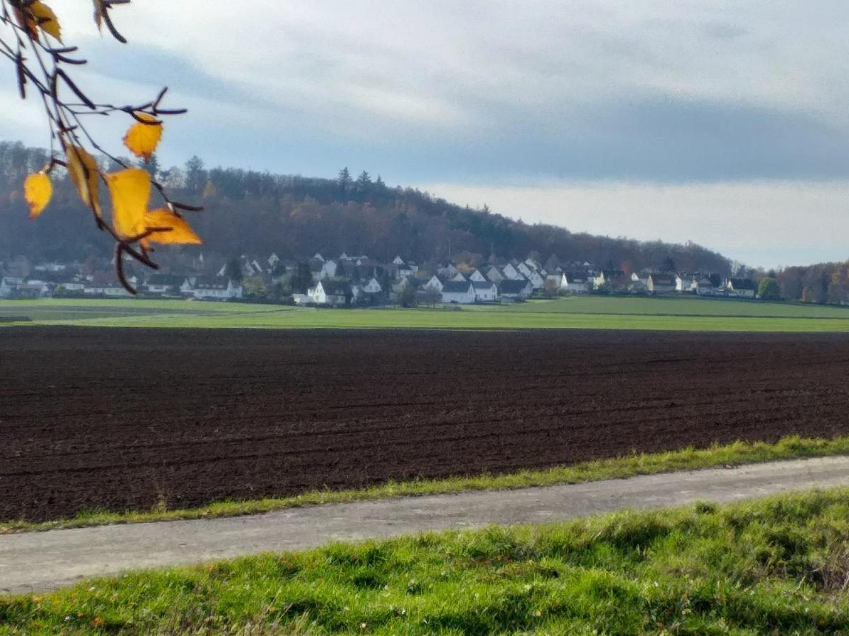 Ferienwohnung Am Sendberg Frielendorf エクステリア 写真